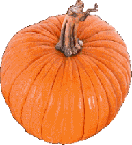 pumpkin.gif